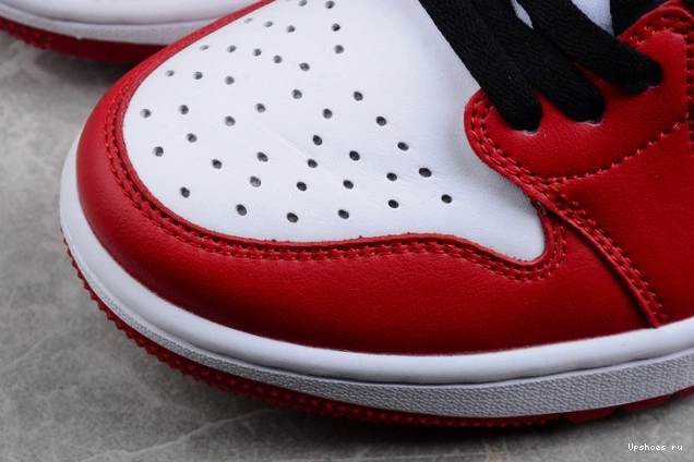 Jordan  Low Golf  Chicago  1 DD9315-600 Retro 0511